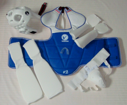 Set of Sparring Gear